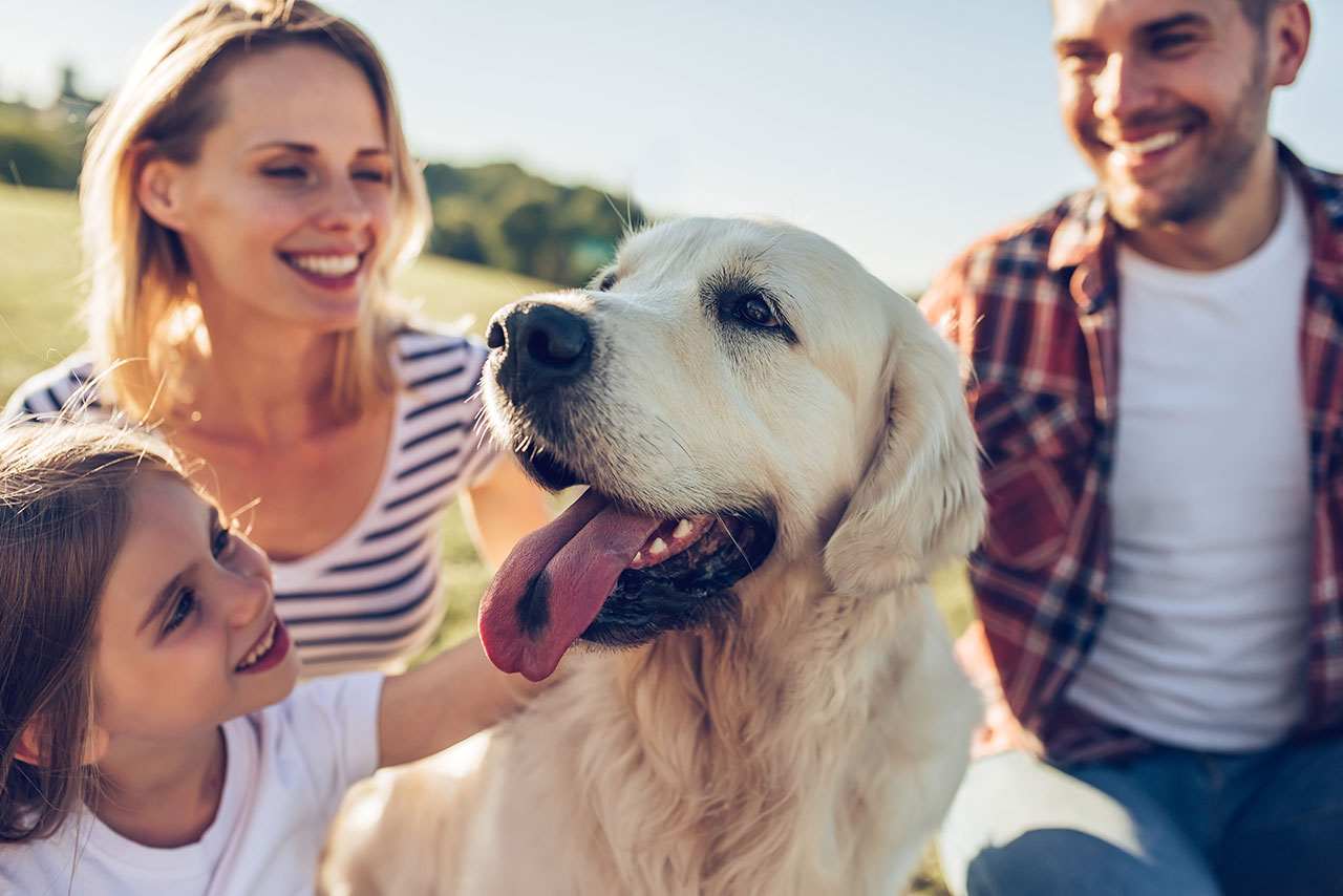 family and pet